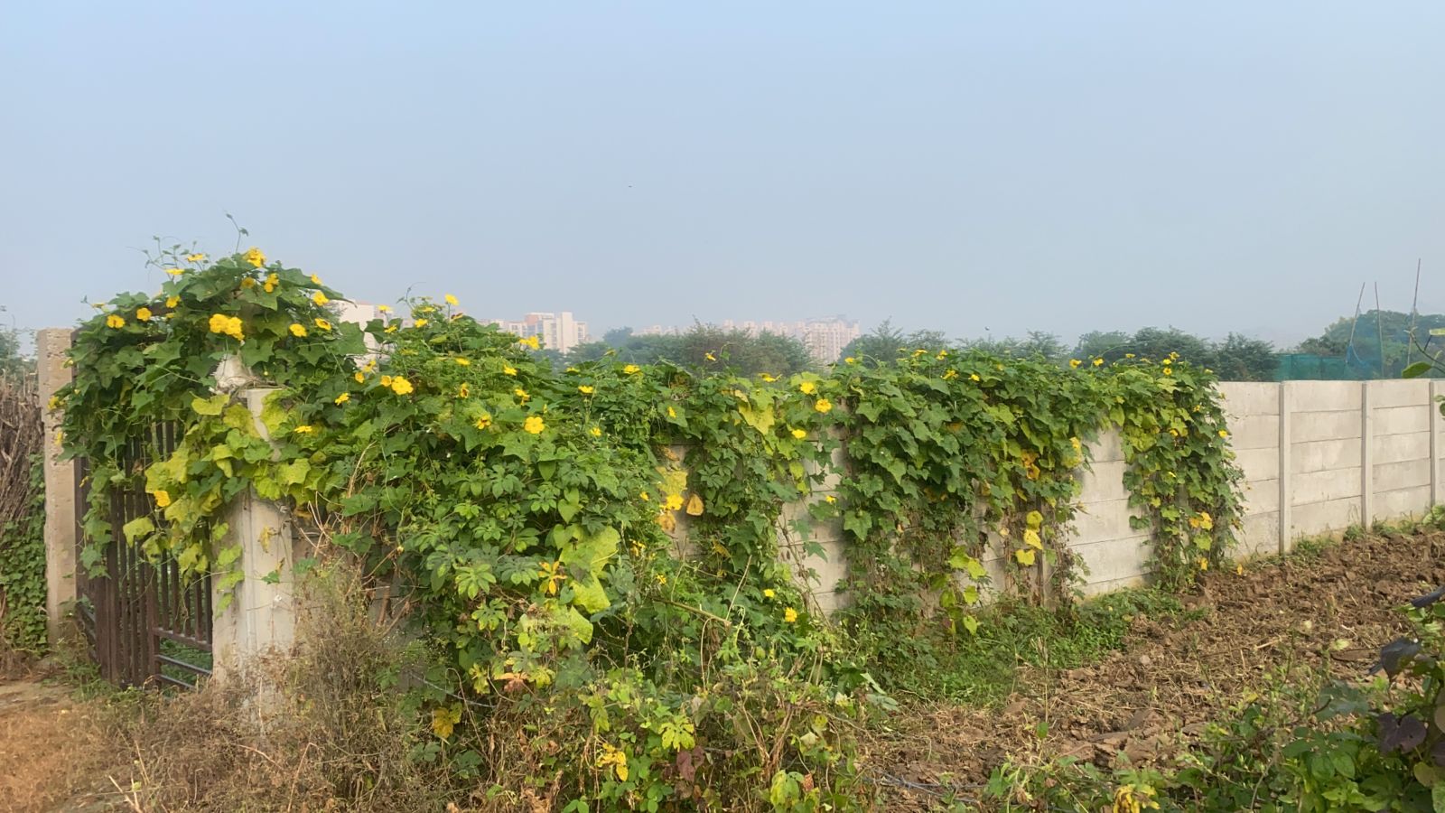 Plot For Sale in Sector 7