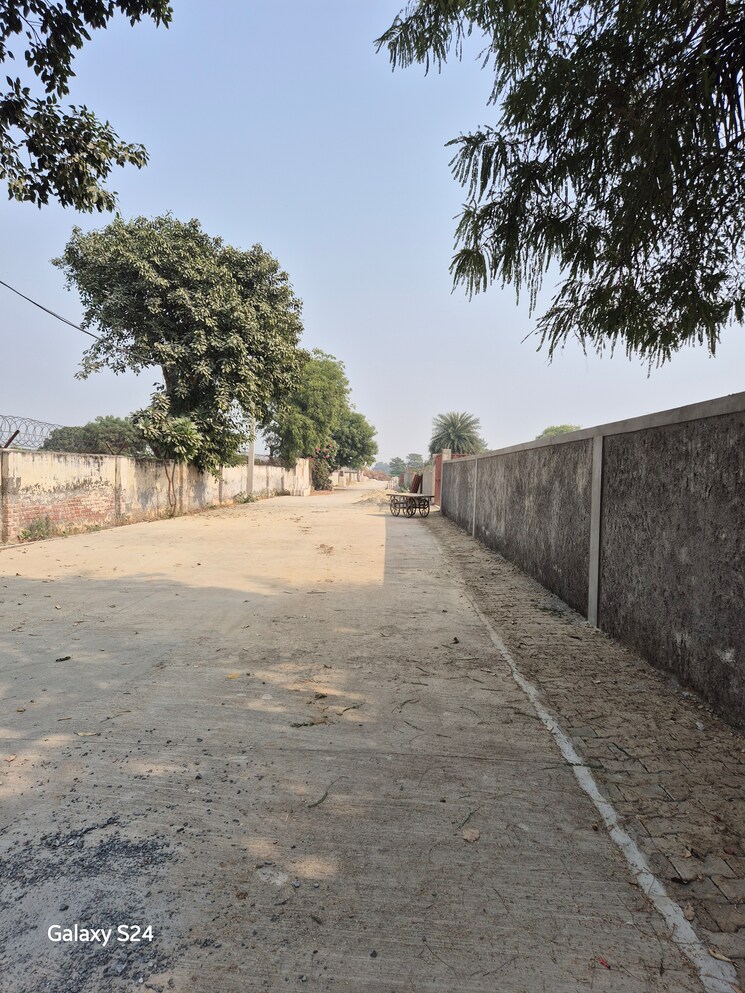 Exterior View, bamnikhera  75 Sq.Yd. Plot In Bamnikhera Palwal 7901847