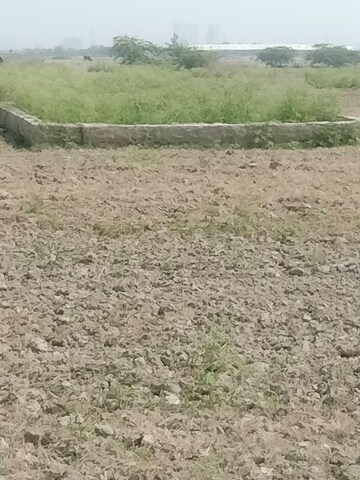 Plot Area in  Plot at Sector 148 – for Sale