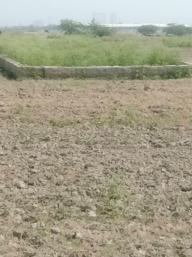 undefined, sector 148  73 Sq.Yd. Plot In Sector 148 Noida 7901912