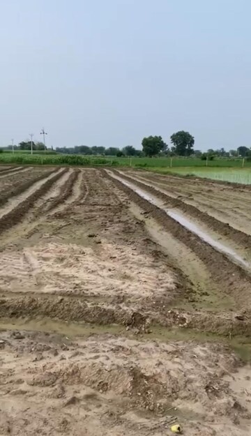 Plot For Sale in Jewar