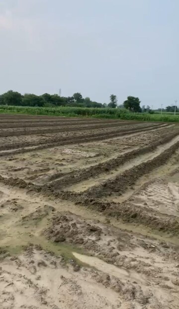 Plot Area in  Plot at Jewar – for Sale