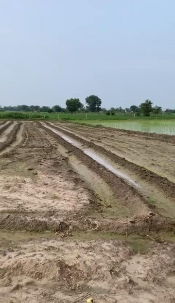  Plot For Sale in Tappal