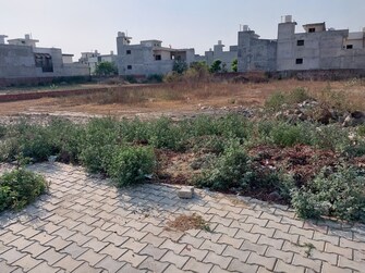 Commercial Land 500 Sq.Yd. For Resale in Rajguru Nagar Ludhiana  7902067