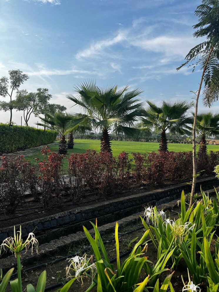 Garden, sejbahar  1101 Sq.Yd. Plot In Sejbahar Raipur 7902353