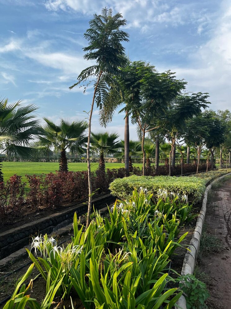 undefined, sejbahar  1101 Sq.Yd. Plot In Sejbahar Raipur 7902353