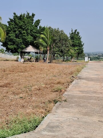 Plot For Resale in Uruli Kanchan Pune  7902375