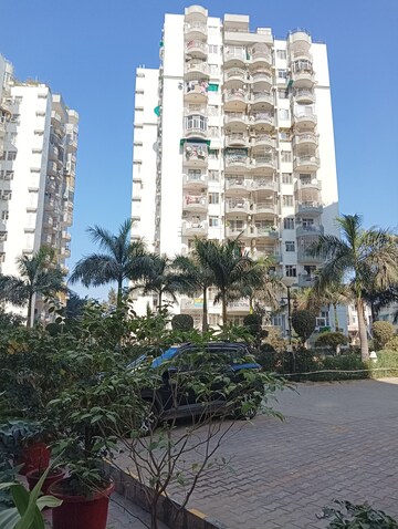 3 BHK Apartment For Rent in Maple Heights Sector 43 Gurgaon  7902535