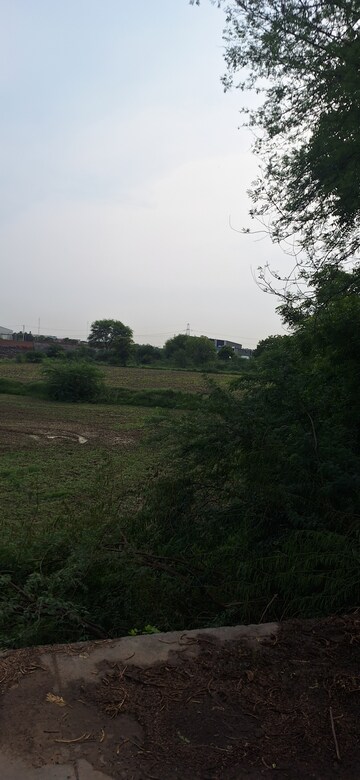 Plot For Resale in Sector 105 Faridabad  7902573