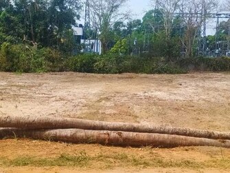 Plot For Resale in Vallachira Thrissur  7902693