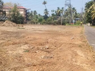 Plot For Resale in Vallachira Thrissur  7902693