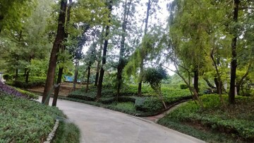 6+ BHK Villa – Garden View at Ghitorni - for Sale