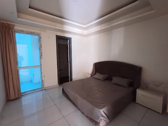 2 BHK Apartment For Rent in Rose Apartments Wakad Wakad Pune  7903241