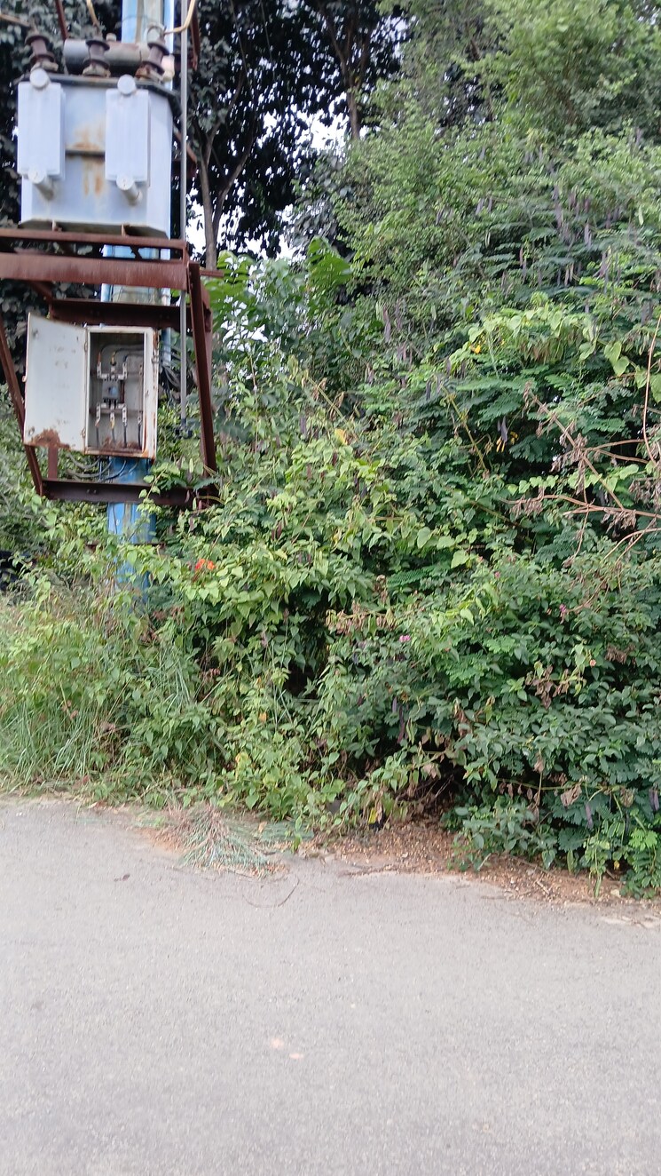 Garden, jr-habitat  1500 Sq.Yd. Plot In Chandapura Bangalore 7903923