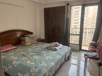 2 BHK Apartment For Rent in Logix Blossom County Sector 137 Noida  7904493