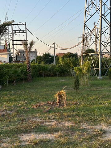 Plot Area in  Plot at Kharar Mohali Road – for Sale
