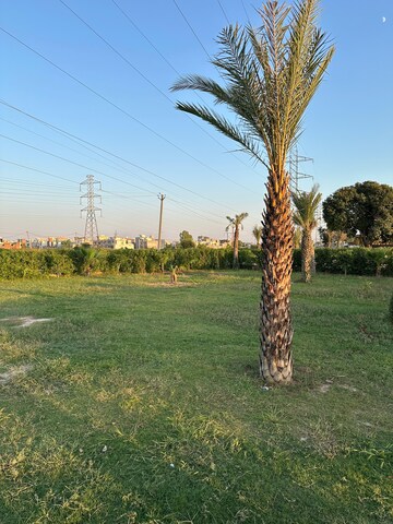  Plot – Garden View at Kharar Mohali Road - for Sale