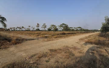 Plot For Sale in Shankarpalli