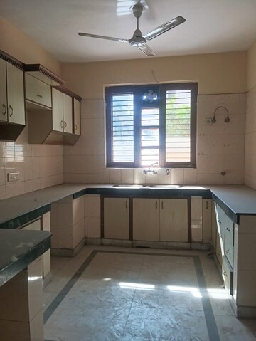 Kitchen in 3 BHK Builder Floor at Sector 23 – for Rent