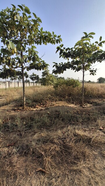  Plot – Garden View at Shankarpalli - for Sale