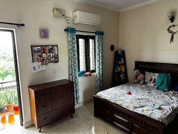 1 BHK Apartment For Rent in Sector 19 Noida  7905513