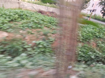  Plot – Garden View at Bangalore Central Jail - for Sale