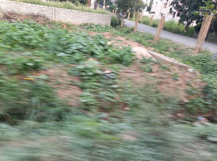 Garden, parappana agrahara  1200 Sq.Ft. Plot In Parappana Agrahara Bangalore 7905463