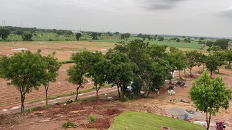 Plot For Resale in Shamirpet Hyderabad  7905992