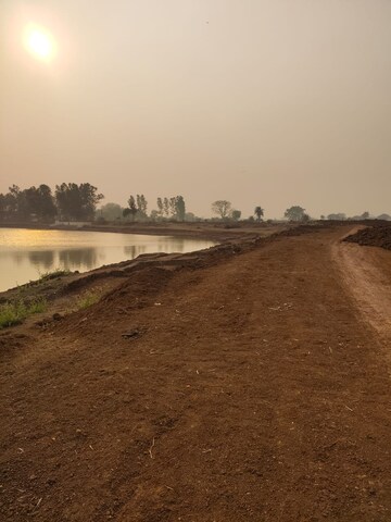 Plot Area in  Plot at Amleshwar – for Sale
