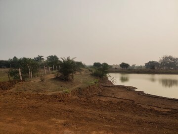 Plot Area in  Plot at Amleshwar – for Sale