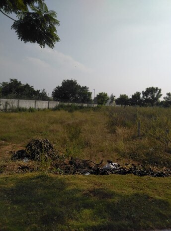 Plot For Resale in Nagole Hyderabad  7905913