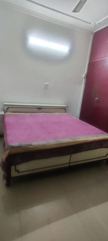 1 RK Independent House For Rent in RWA Apartments, Sector 31