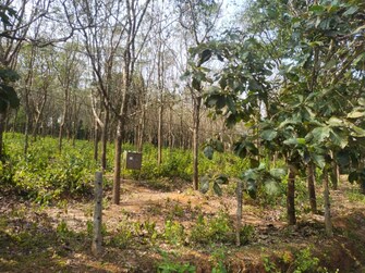 Commercial Land 126 Acre For Resale in ChikmagaluR-Kadur Bypass Road Chikmagalur  7906514