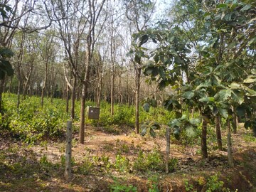 Plot Area in  Land at ChikmagaluR-Kadur Bypass Road – for Sale