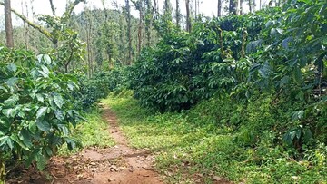 Plot Area in  Land at ChikmagaluR-Kadur Bypass Road – for Sale