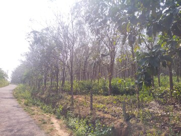 Plot Area in  Land at ChikmagaluR-Kadur Bypass Road – for Sale