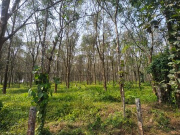 Plot Area in  Land at ChikmagaluR-Kadur Bypass Road – for Sale