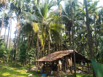  Land – Exterior View View at ChikmagaluR-Kadur Bypass Road - for Sale