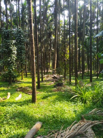  Land – Exterior View View at ChikmagaluR-Kadur Bypass Road - for Sale
