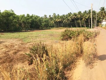 Plot For Resale in Pappinisseri Kannur  7906916