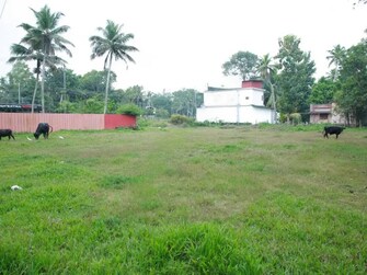 Plot For Resale in Karuvatta Alappuzha  7907131