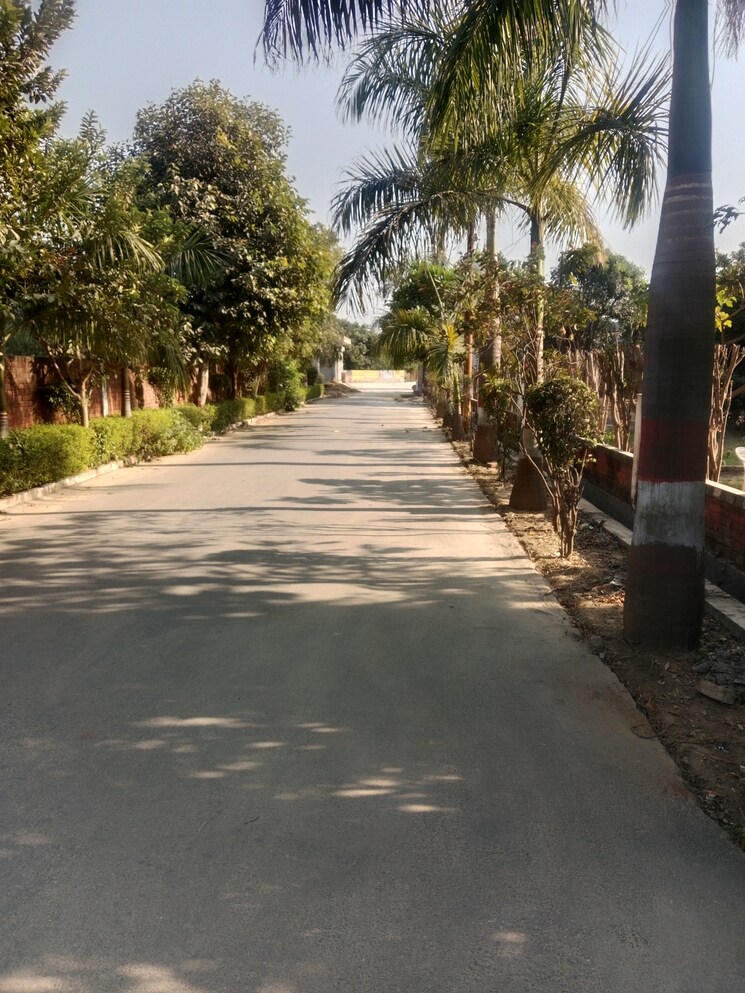 Garden, salarpur jalalpur  105 Sq.Yd. Plot In Salarpur Jalalpur Meerut 7907323