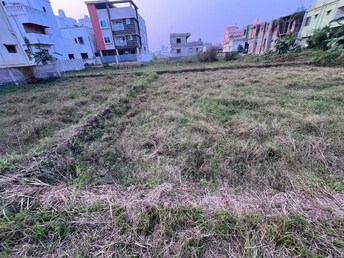 Plot For Resale in Pahal Bhubaneswar  7907363