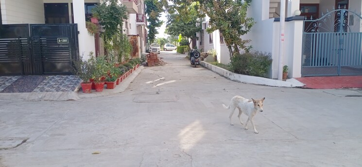 Exterior View, omaxe-avenue  966 Sq.Ft. Plot In Amar Shaheed Path Lucknow 7907417