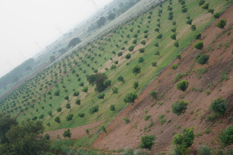 Exterior View, jayaskandha-ramchandra-divine-county  200 Sq.Yd. Plot In Thimmapur Hyderabad 7907466