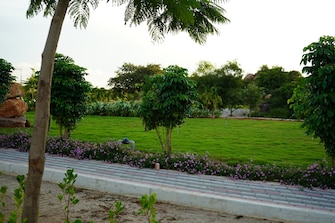 Plot For Resale in Serene City Shadnagar Hyderabad  7907528