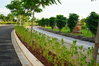 Plot For Resale in Serene City Shadnagar Hyderabad  7907528