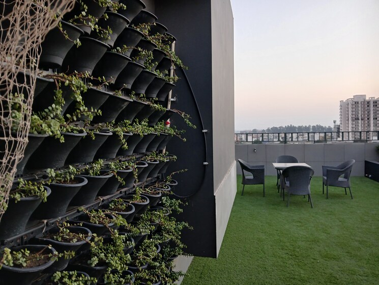 Exterior View, sector 9 3.5 Bedroom 250 Sq.Yd. Builder Floor In Sector 9 Hisar 7907644