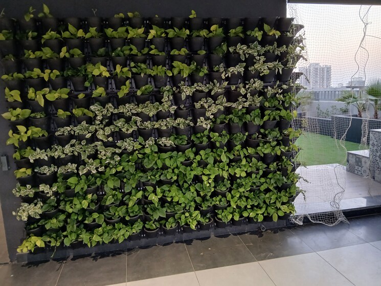 Master Plan, sector 9 3.5 Bedroom 250 Sq.Yd. Builder Floor In Sector 9 Hisar 7907644