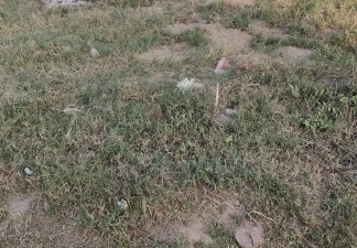 Plot For Sale in Sector 77
